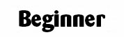 Beginner
